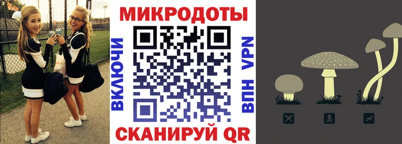 Купить где  Луза  Галлюциногенные грибы ЛСД 